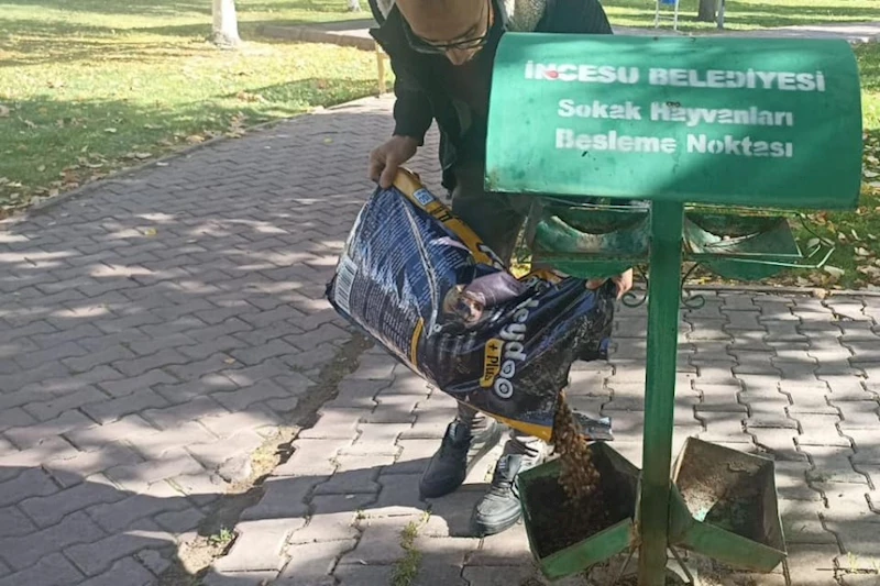 Hafta içi hafta sonu sevimli dostlarımızı beslemeyi unutmuyoruz. Sizde kapınıza bir kap su bir kap mama