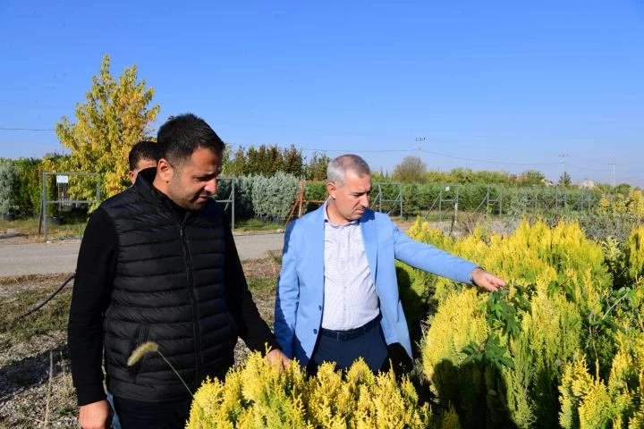 “11 Kasım’da Beylerderesi Şehir Parkımızın Dördüncü Etabında Ağaçlandırma Etkinliği Düzenleyeceğiz”
