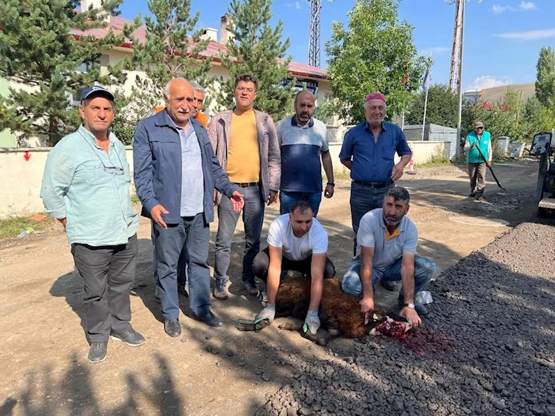 Altyapı ve asfalt için kurban kesildi.
