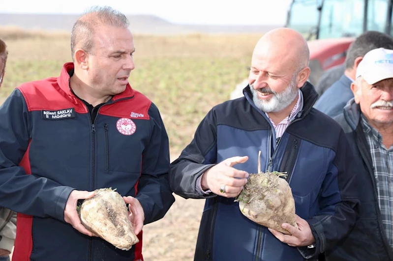 YAPILAN YATIRIMLARLA KOCASİNANLI ÇİFTÇİLERİN HASATTA YÜZÜ GÜLÜYOR