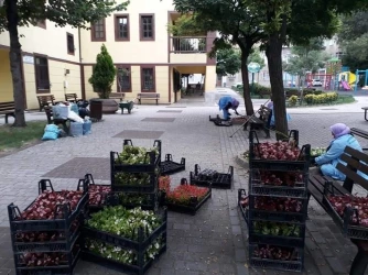 Osmangazi Belediyesi İlçeyi Çiçek Bahçesine Çeviriyor