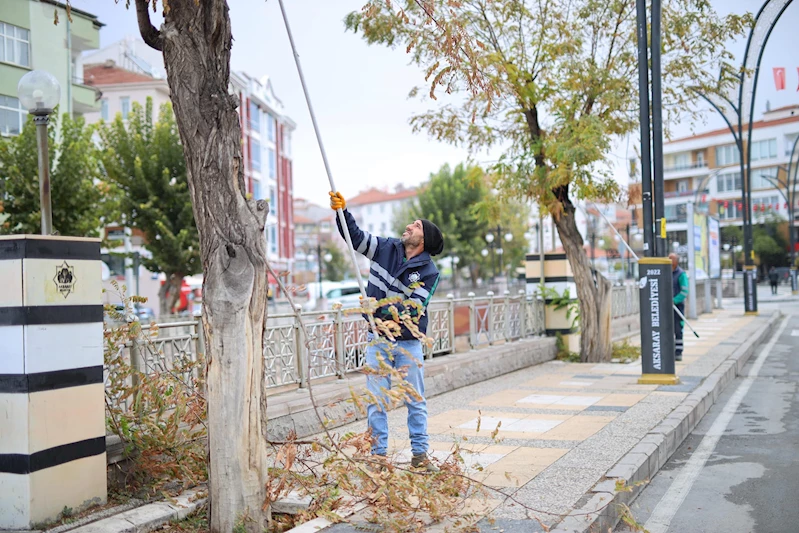 HER MEVSİM BİR BAŞKA GÜZEL AKSARAY