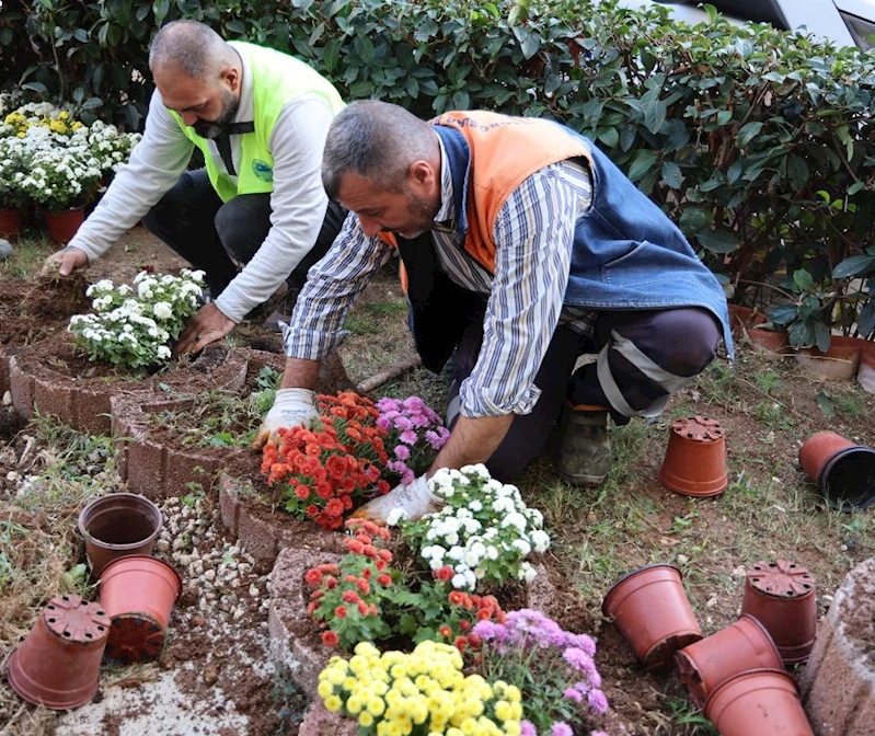TOROSLAR, HER MEVSİM RENGARENK