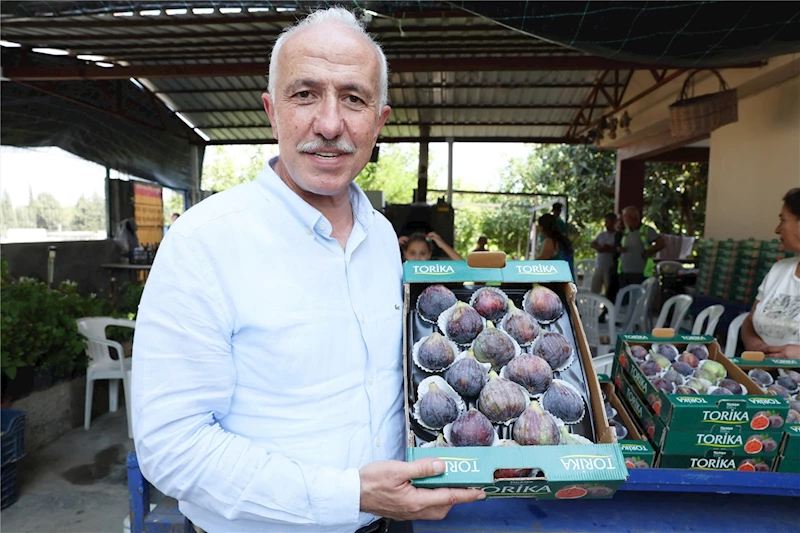 AKDENİZLİ İNCİR ÜRETİCİLERİNE BİLİMSEL DESTEK