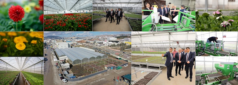 ŞEHİTKAMİL’DE BİR GÜNDE 200 BİN TOHUM TOPRAKLA BULUŞTURULUYOR