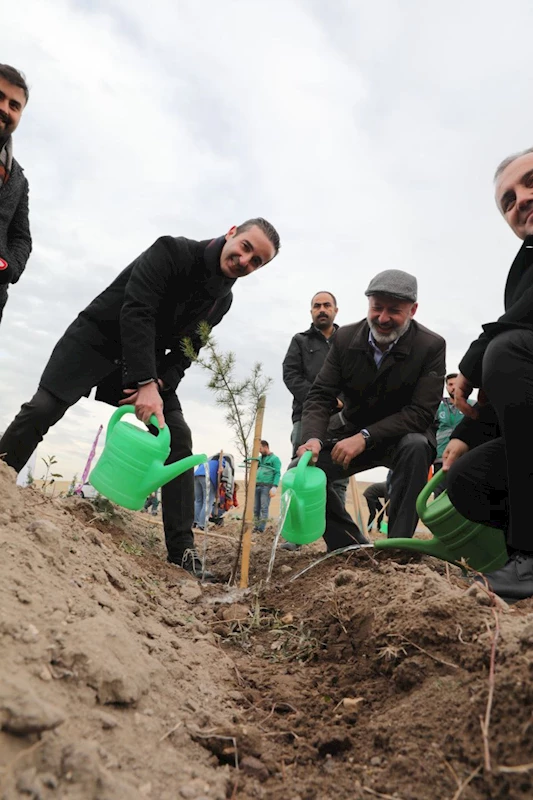 BAŞKAN ÇOLAKBAYRAKDAR, “GELECEK İÇİN YAPILACAK EN ÖNEMLİ YATIRIM AĞAÇ DİKMEKTİR”