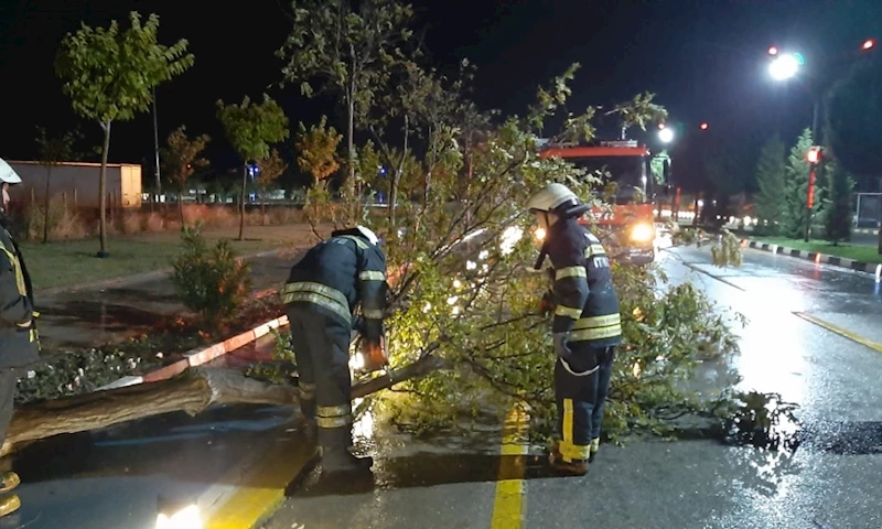 Büyükşehir ve MASKİ, Fırtına ve Yağışta 1.249 Noktada Çalışma Yürüttü