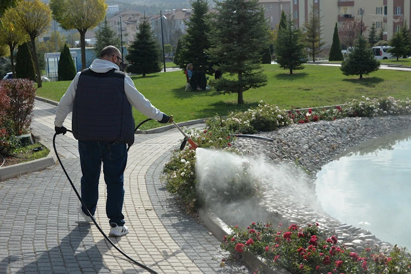 BOZÜYÜK’TE GÜLLER İLAÇLANIYOR
