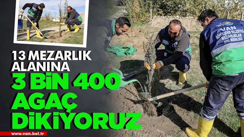 BÜYÜKŞEHİR 13 MEZARLIK ALANINA 3 BİN 400 AĞAÇ DİKİYOR