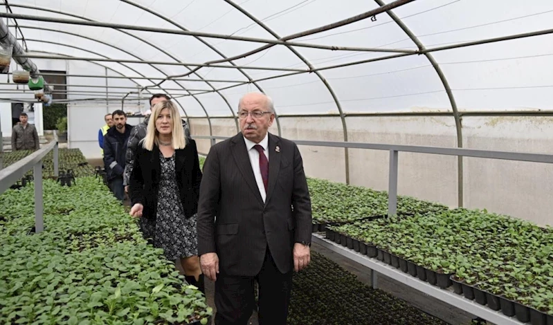 BAŞKAN ALBAYRAK, ÇİÇEK ÜRETİMİNİN YAPILDIĞI SERALARDA İNCELEMELERDE BULUNDU