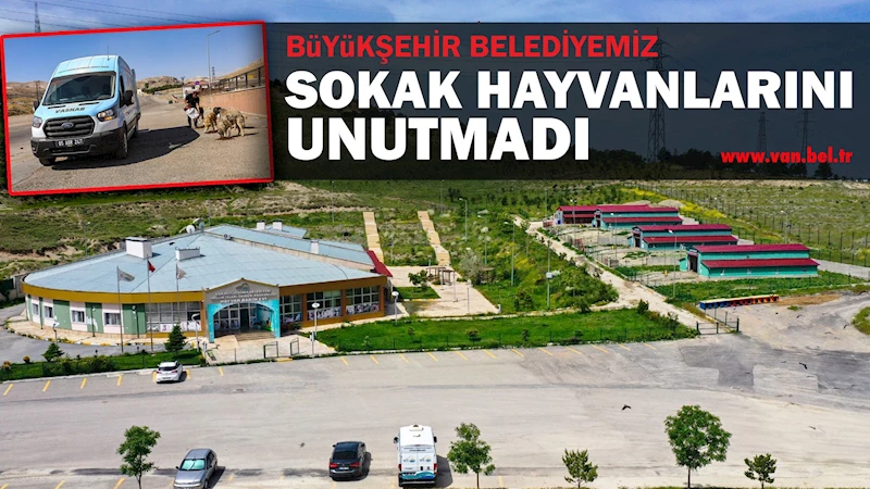 BÜYÜKŞEHİR BELDİYESİ SOKAK HAYVANLARINI UNUTMADI