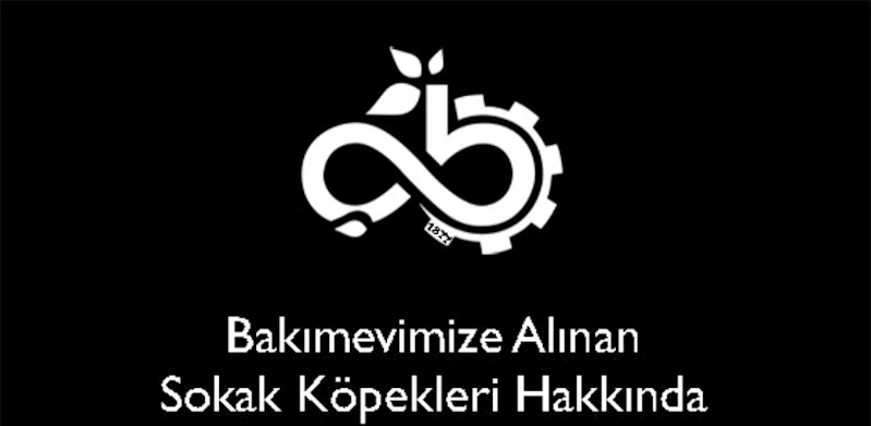 Bakımevimize Alınan Sokak Köpekleri Hakkında Açıklama