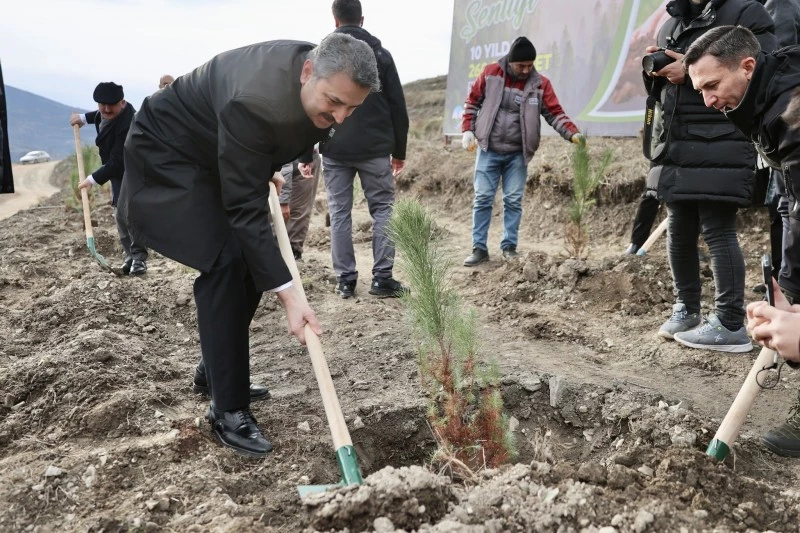 TOKAT BELEDİYESİ 10 YILDA 260 BİN FİDANI TOPRAKLA BULUŞTURDU