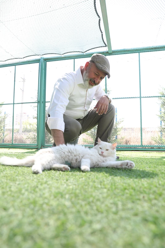 KAYSERİ’DE İLK OLAN ‘KÜÇÜK DOSTLAR KEDİ KASABASI’NA YOĞUN İLGİ