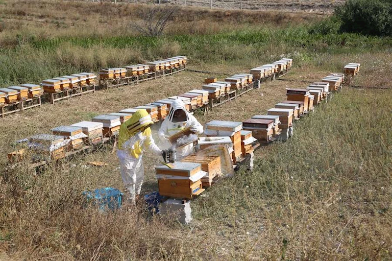 ARIKÖY’DE ARICILIK EĞİTİMLERİ İÇİN BAŞVURULAR 8 OCAK’TA BAŞLAYACAK