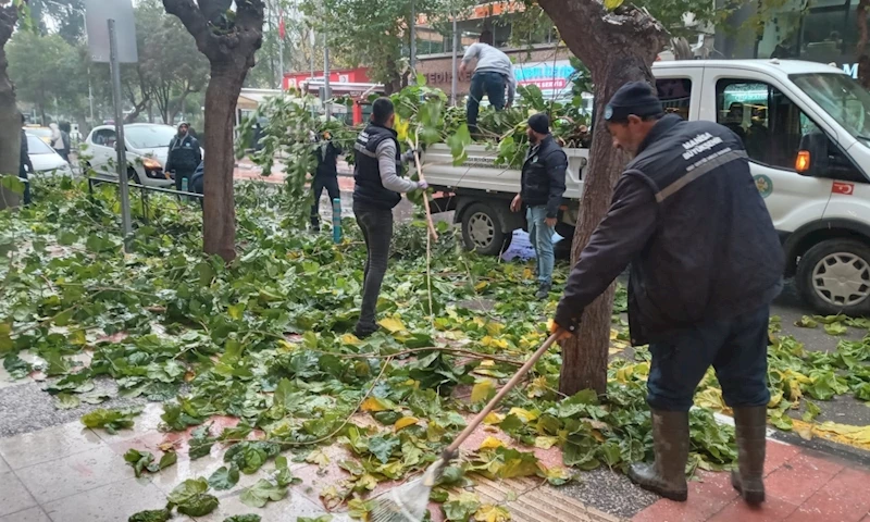 Büyükşehir’den Ağaçlara Kış Bakımı