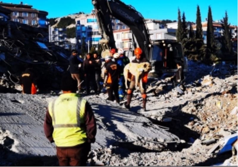 Buca Belediyesi veterinerleri deprem bölgesinde