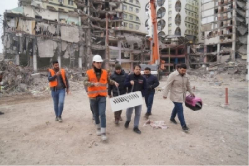 Acil yıkım kararı verilen Galeria sitesinde kurtarılan kedi sayısı 7’ye ulaştı