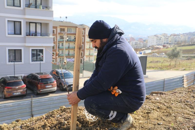 İZMİT BELEDİYESİ KENTİ YEŞİLLENDİRMEYE DEVAM EDİYOR