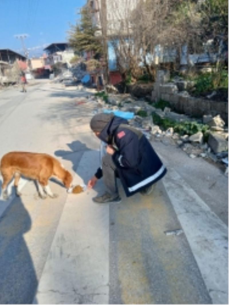 Afet Bölgesindeki Can Dostlara Osmangazi Şefkati