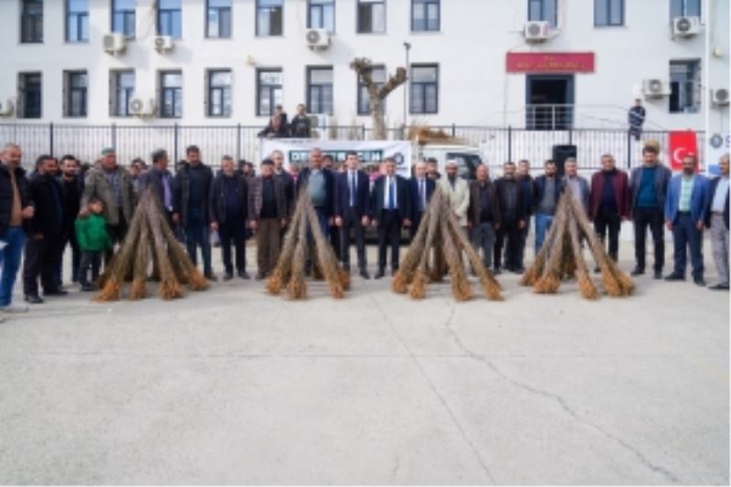 Üreticilere dut fidanı desteği