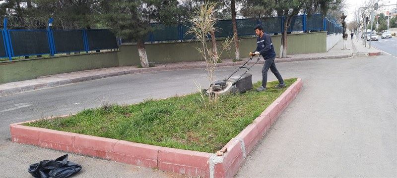 SİİRT