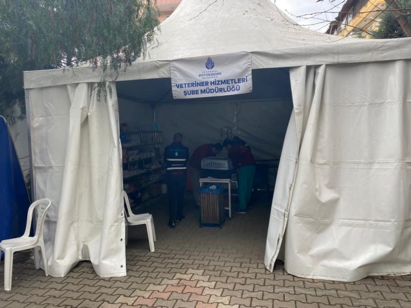 PATİBÜS, HATAY DEFNE’DE CAN DOSTLARIMIZIN YARALARINI SARIYOR