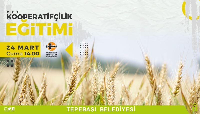 TEPEBAŞI