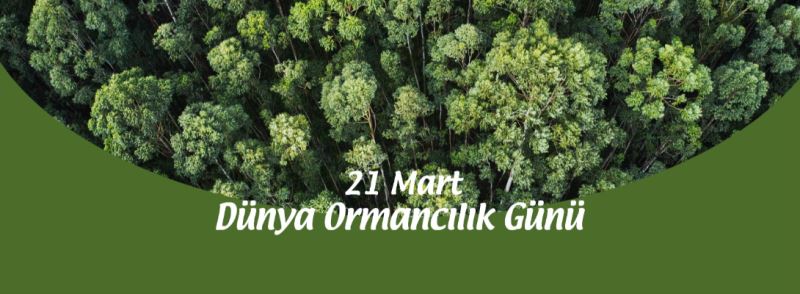 Çanakkale Belediye Başkanı Sayın Ülgür Gökhan