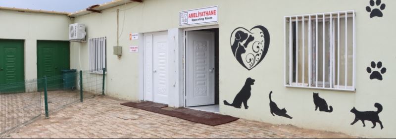 Sokak Hayvanları Kısırlaştırma Merkezi Hizmete Girdi