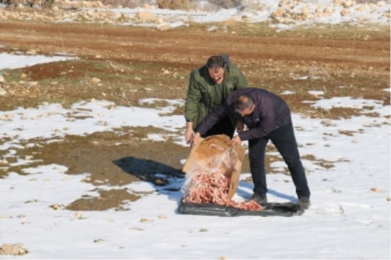 SOĞUK KIŞ GÜNLERİNDE YİYECEK BULAMAYAN HAYVANLAR UNUTULMADI