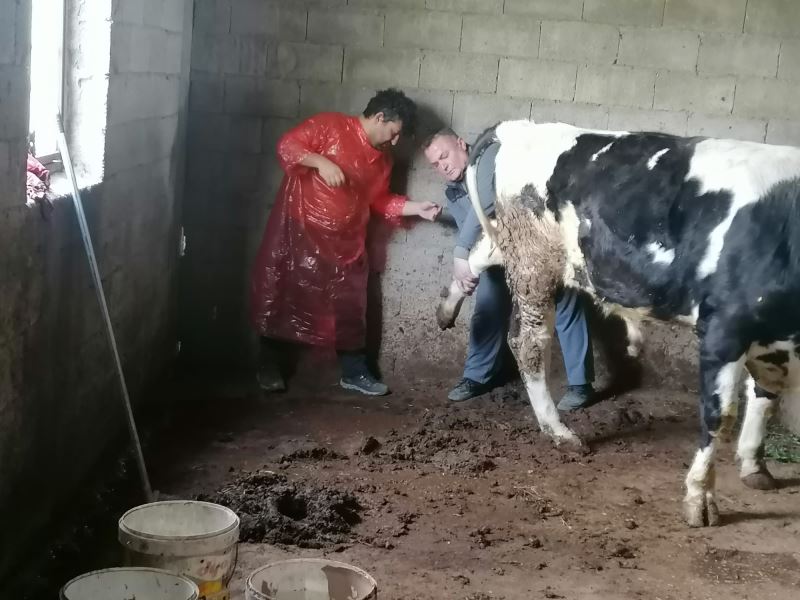 PATİBÜS SAMANDAĞ VE DEFNE’DE CAN DOSTLARIMIZIN TEDAVİ VE BAKIMLARINI YAPMAYI SÜRDÜRÜYOR