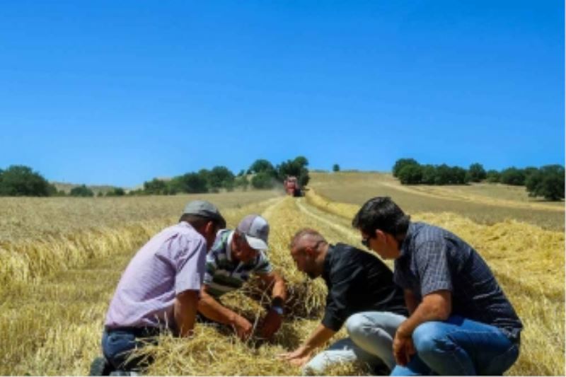 BÜYÜKŞEHİR’DEN KÜÇÜK ÇİFTÇİYE SIVI GÜBRE DESTEĞİ