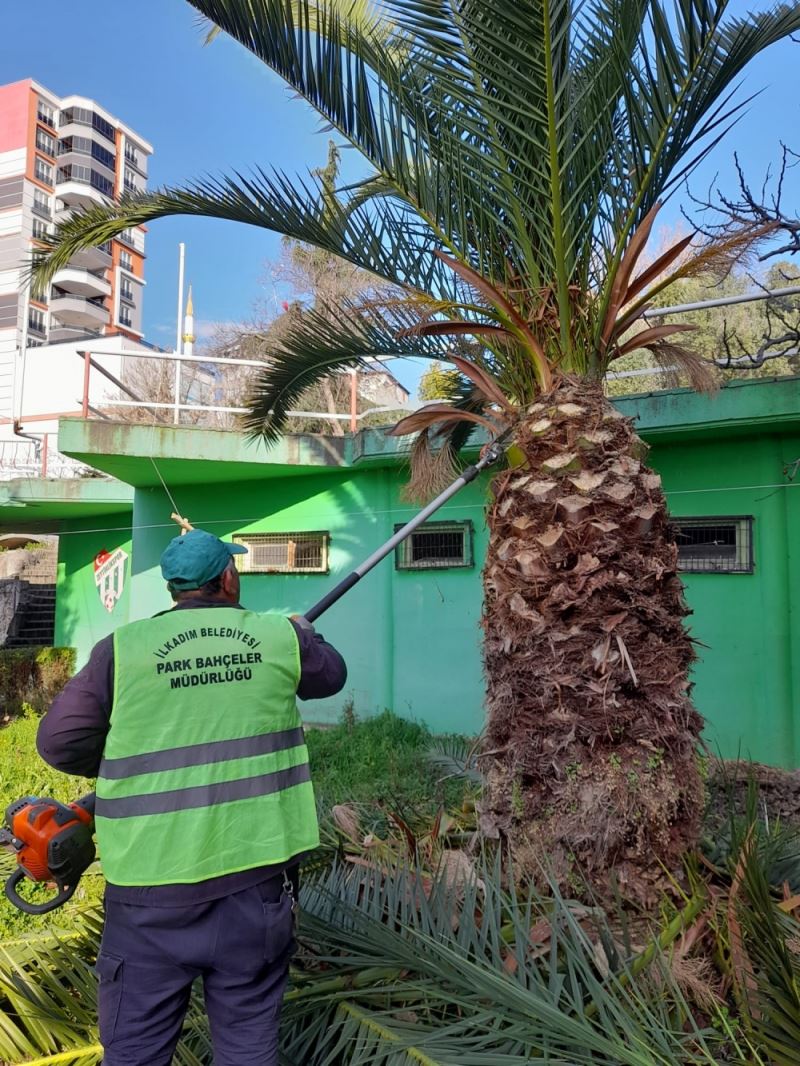 PARK BAHÇELER EKİBİ PARKLARDA YEŞİL DOKUYU ÖNE ÇIKARIYOR