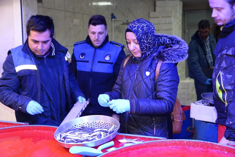 BALIK TEZGAHLARINA DENETİM