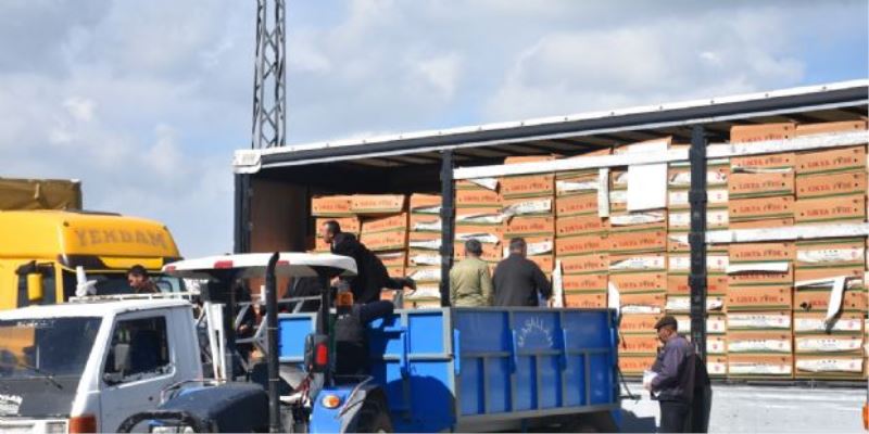 Belediyemizin Çiftçilere Vermiş Olduğu Fide Desteği 33 Milyonu Buldu