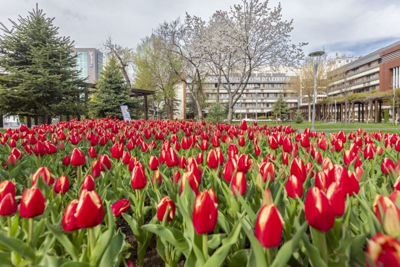 Büyükşehir, Yaklaşık 3 Milyon Çiçek İle Kenti, 