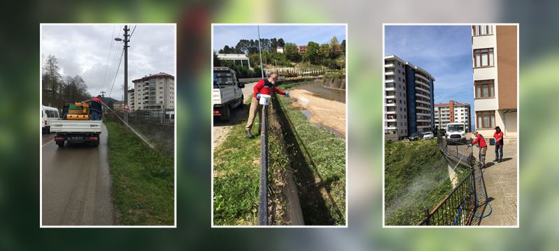 SİVRİSİNEK VE HAŞERELERE KARŞI İLAÇLAMA ÇALIŞMASI YOĞUNLAŞTI