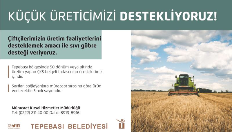 TEPEBAŞI