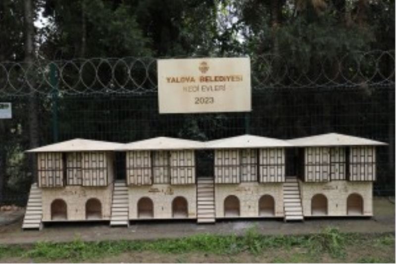 YALOVA’DA KEDİLERE SAFRANBOLU KONSEPTLİ YENİ EVLER…