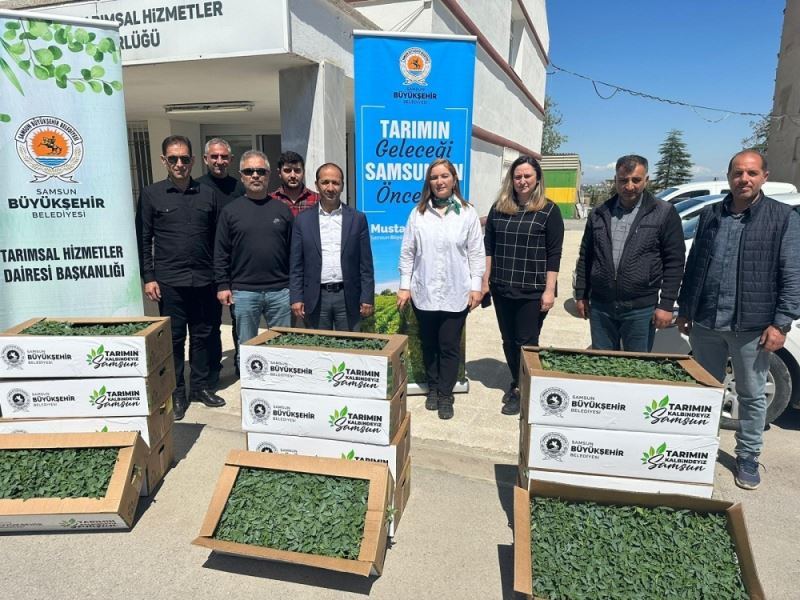 Deprem bölgesine tarımsal destek