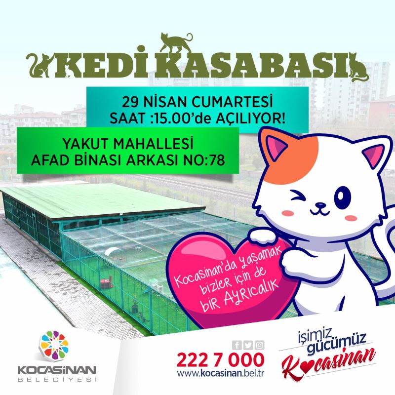 KAYSERİ’DE İLK OLAN SEVİMLİ PATİLER İÇİN ‘KÜÇÜK DOSTLAR KEDİ KASABASI’ AÇILIYOR