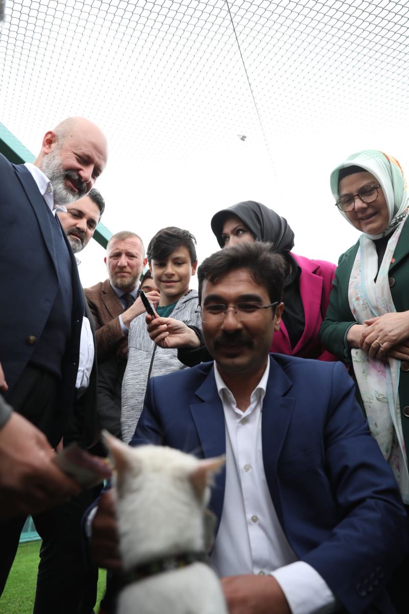KAYSERİ’DE İLK OLAN SEVİMLİ PATİLER İÇİN ‘KÜÇÜK DOSTLAR KEDİ KASABASI’ AÇILDI