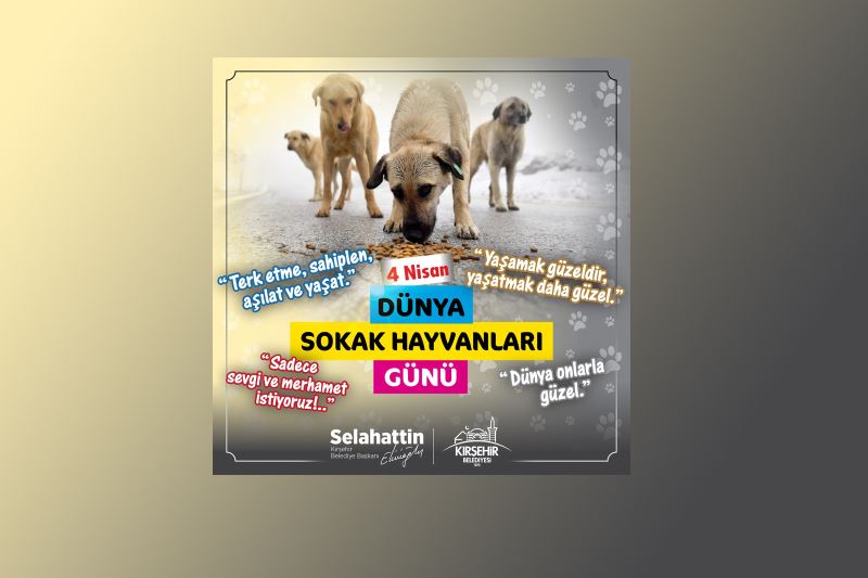 BAŞKANIMIZ EKİCİOĞLU:  HAYVANLARI KORUMAK VE YAŞAM HAKKINA SAYGI DUYMAK HEPİMİZİN GÖREVİDİR