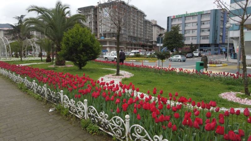 LALELER, ŞEHRİMİZE AYRI BİR RENK KATTI.