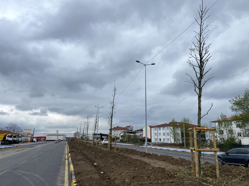 Büyükşehir’den Şehit İlhan Aras’ta ilkbahar dokunuşu