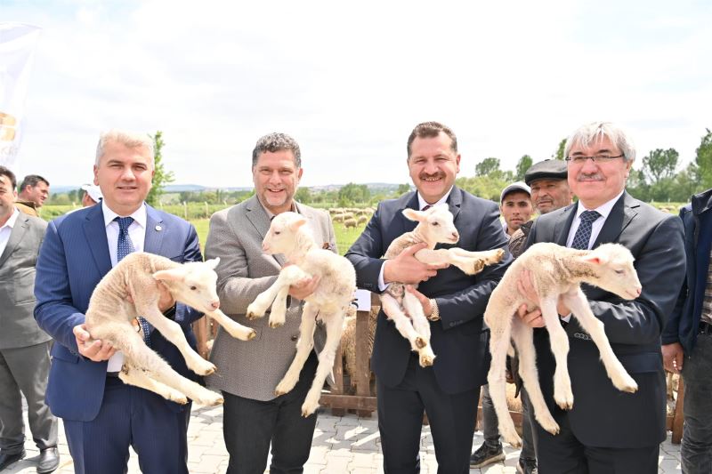 Balıkesir Hayvancılığın En İyisi Olma Yolunda