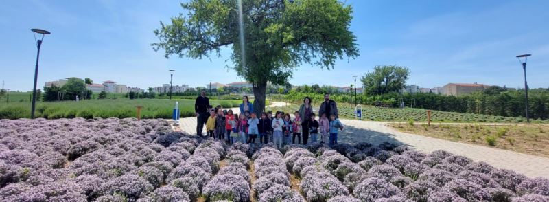 Aromatik ve Tıbbi Bitkiler Parkı