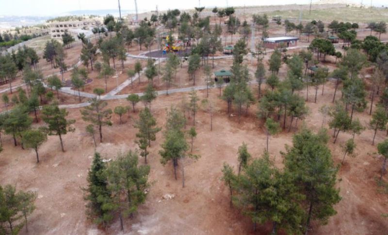 Başkan Beyazgül“Şanlıurfa’ya Yeni Yeşil Alanlar Kazandırmaya Devam Edeceğiz”