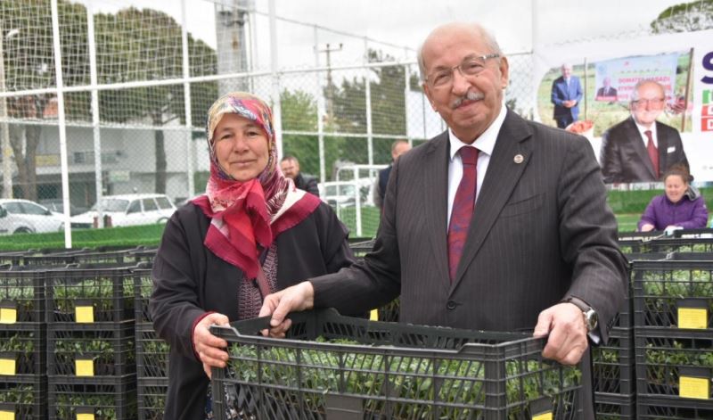 ŞARKÖY İLÇESİNDE ÜRETİCİLERE DOMATES FİDESİ DAĞITILDI